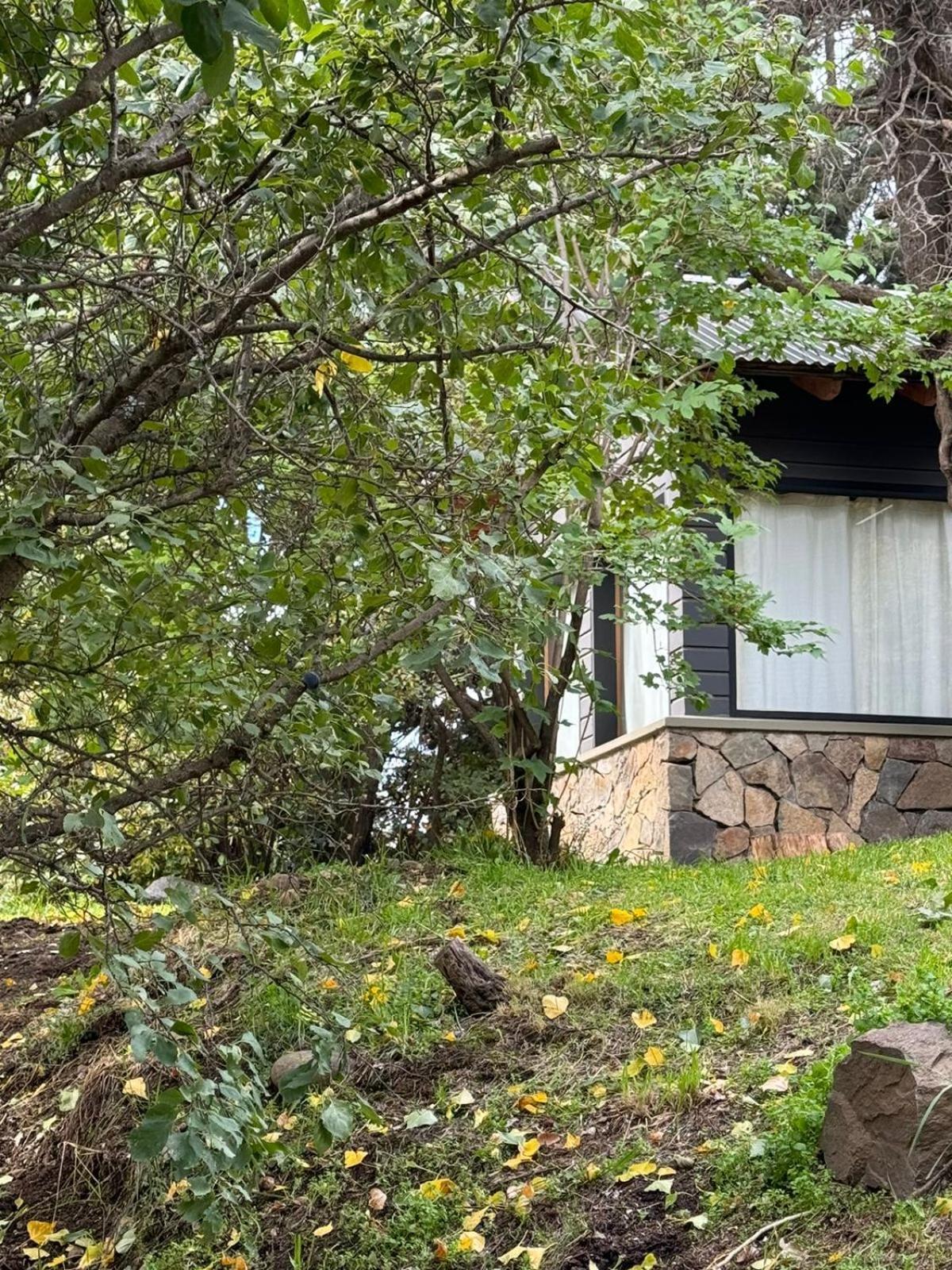 Huilen De Bandurrias Villa San Martin de los Andes Exterior photo